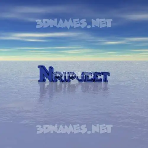 nripjeet in Horizon style - 3D name wallpaper nripjeet in Horizon style - 3D name wallpaper