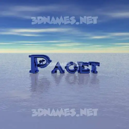 paget in Horizon style - 3D name wallpaper paget in Horizon style - 3D name wallpaper