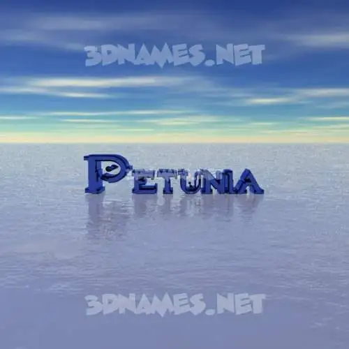 petunia in Horizon style - 3D name wallpaper petunia in Horizon style - 3D name wallpaper