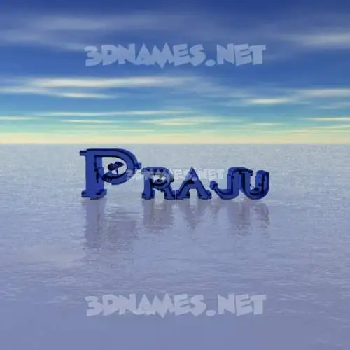 praju in Horizon style - 3D name wallpaper