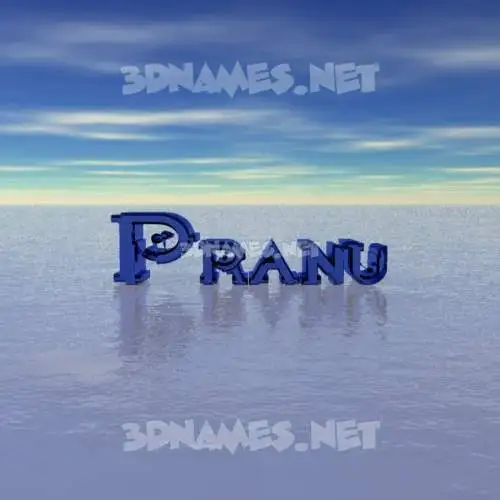 pranu in Horizon style - 3D name wallpaper pranu in Horizon style - 3D name wallpaper