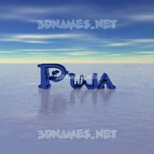 puja in Horizon style - 3D name wallpaper puja in Horizon style - 3D name wallpaper