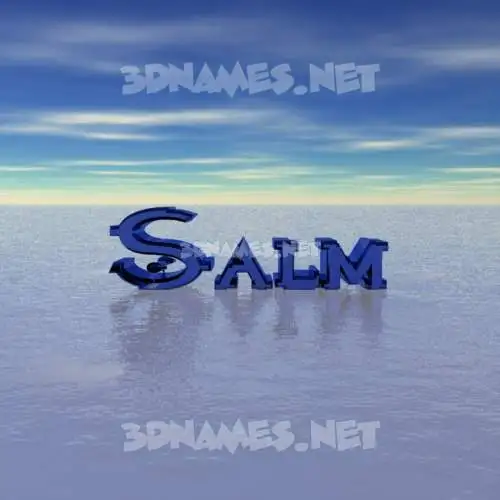 salm in Horizon style - 3D name wallpaper salm in Horizon style - 3D name wallpaper