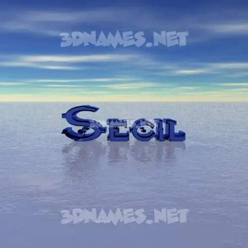 secil in Horizon style - 3D name wallpaper secil in Horizon style - 3D name wallpaper