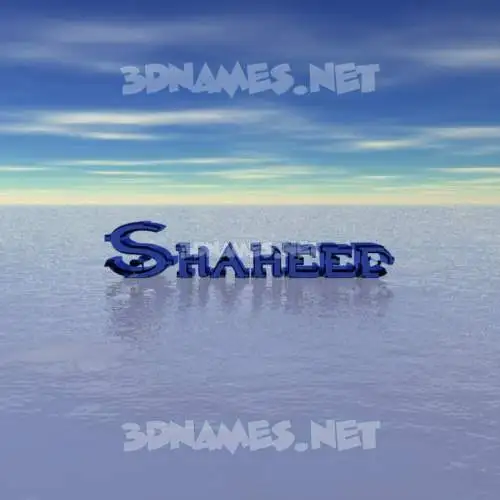 shaheed in Horizon style - 3D name wallpaper shaheed in Horizon style - 3D name wallpaper