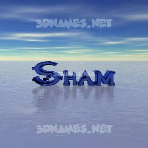 sham in Horizon style - 3D name wallpaper sham in Horizon style - 3D name wallpaper