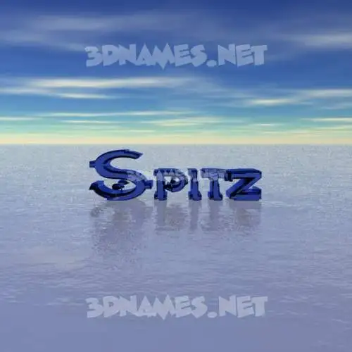 spitz in Horizon style - 3D name wallpaper spitz in Horizon style - 3D name wallpaper