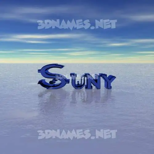 suny in Horizon style - 3D name wallpaper