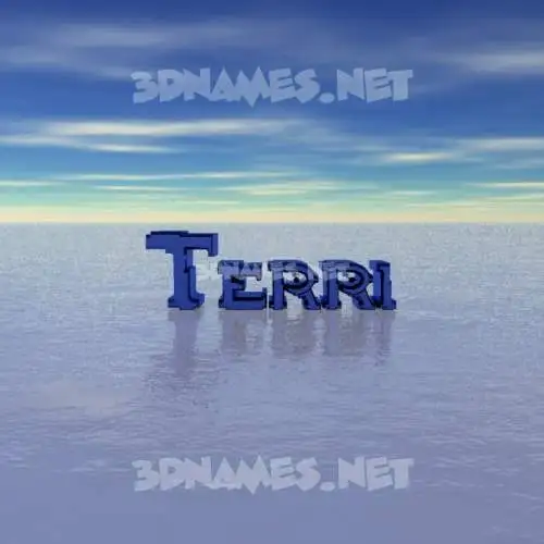 terri in Horizon style - 3D name wallpaper terri in Horizon style - 3D name wallpaper