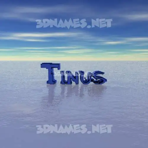 tinus in Horizon style - 3D name wallpaper tinus in Horizon style - 3D name wallpaper