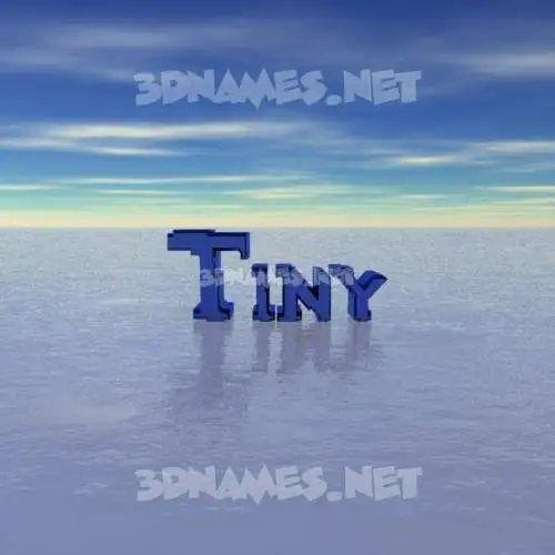 tiny in Horizon style - 3D name wallpaper tiny in Horizon style - 3D name wallpaper