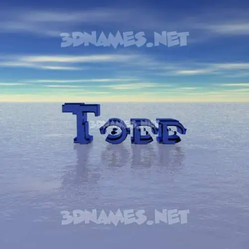 todd in Horizon style - 3D name wallpaper todd in Horizon style - 3D name wallpaper