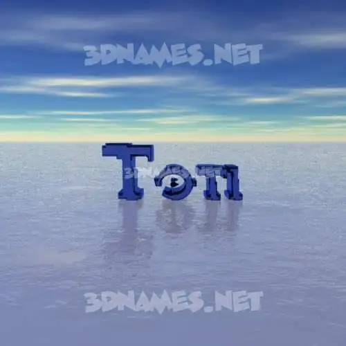 toti in Horizon style - 3D name wallpaper toti in Horizon style - 3D name wallpaper