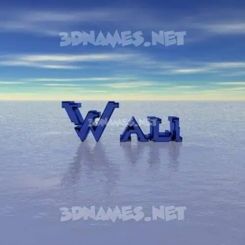 wali in Horizon style - 3D name wallpaper wali in Horizon style - 3D name wallpaper