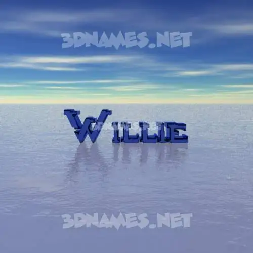 willie in Horizon style - 3D name wallpaper willie in Horizon style - 3D name wallpaper