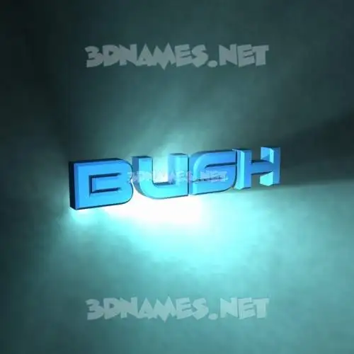 bush in Light Shine style - 3D name wallpaper bush in Light Shine style - 3D name wallpaper