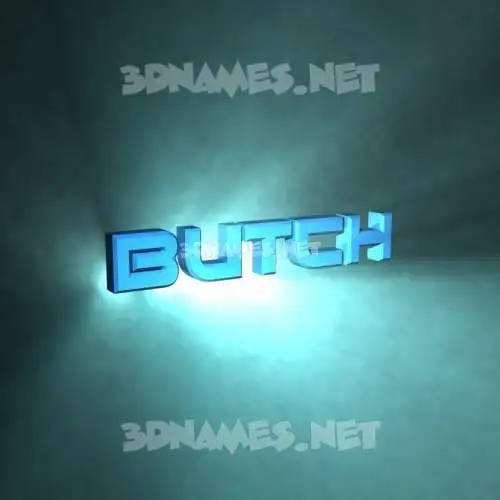 butch in Light Shine style - 3D name wallpaper butch in Light Shine style - 3D name wallpaper