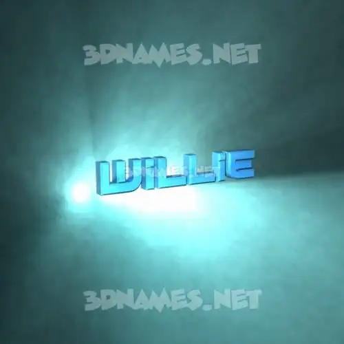 willie in Light Shine style - 3D name wallpaper willie in Light Shine style - 3D name wallpaper