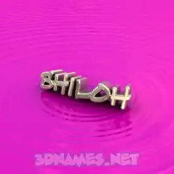 shiloh in Pink Graffiti style - 3D name wallpaper