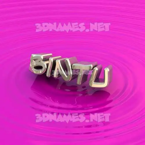 bintu in Pink Graffiti style - 3D name wallpaper bintu in Pink Graffiti style - 3D name wallpaper