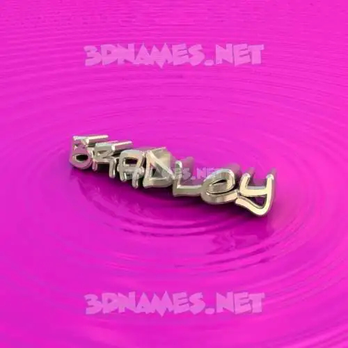 bradley in Pink Graffiti style - 3D name wallpaper