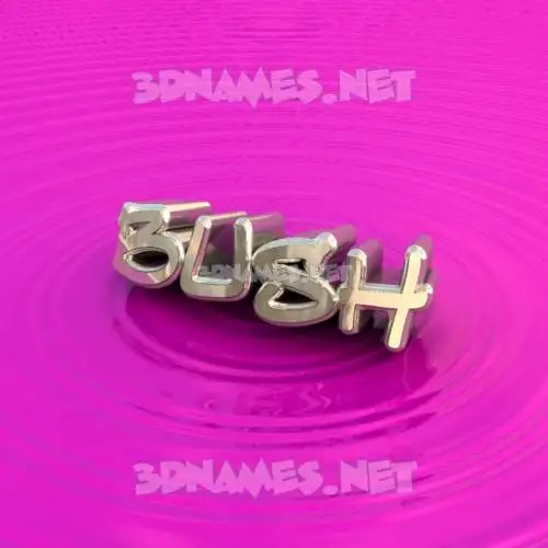 bush in Pink Graffiti style - 3D name wallpaper