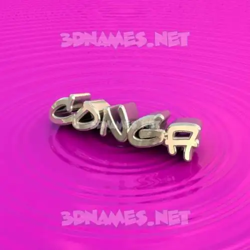 conga in Pink Graffiti style - 3D name wallpaper conga in Pink Graffiti style - 3D name wallpaper