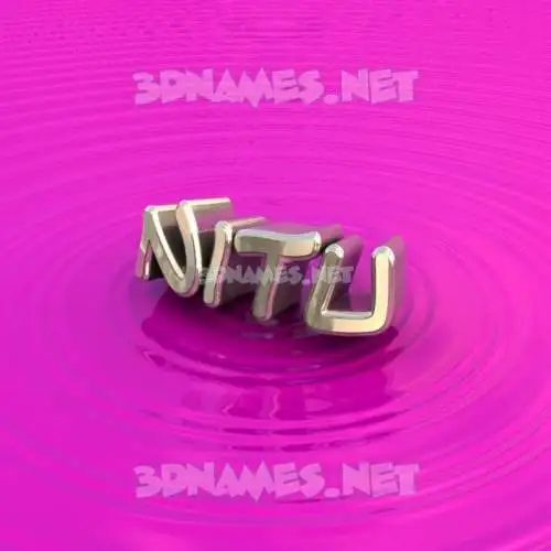 nitu in Pink Graffiti style - 3D name wallpaper