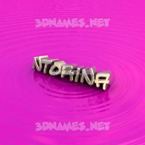 ntorina in Pink Graffiti style - 3D name wallpaper ntorina in Pink Graffiti style - 3D name wallpaper