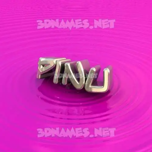 pinu in Pink Graffiti style - 3D name wallpaper pinu in Pink Graffiti style - 3D name wallpaper