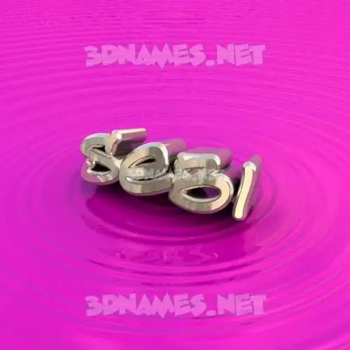sebi in Pink Graffiti style - 3D name wallpaper