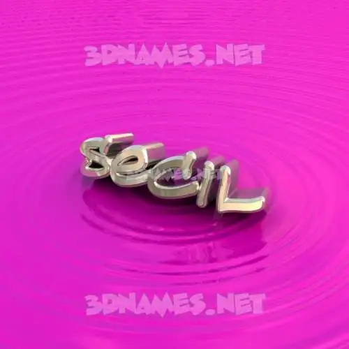 secil in Pink Graffiti style - 3D name wallpaper