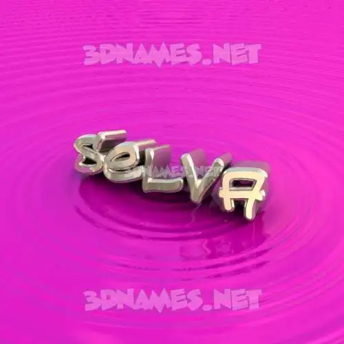 selva in Pink Graffiti style - 3D name wallpaper selva in Pink Graffiti style - 3D name wallpaper