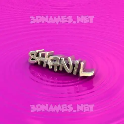 shanil in Pink Graffiti style - 3D name wallpaper shanil in Pink Graffiti style - 3D name wallpaper