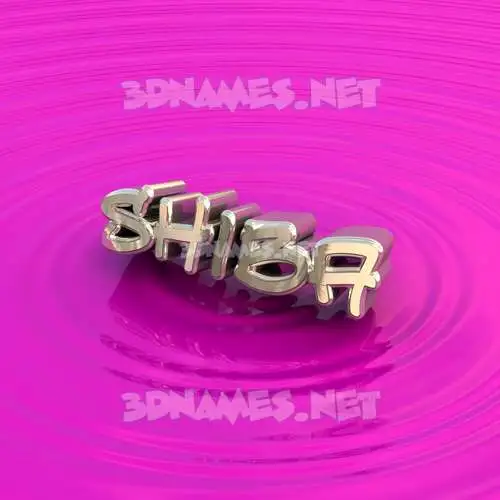 shiba in Pink Graffiti style - 3D name wallpaper shiba in Pink Graffiti style - 3D name wallpaper