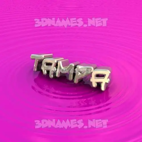 tampa in Pink Graffiti style - 3D name wallpaper tampa in Pink Graffiti style - 3D name wallpaper