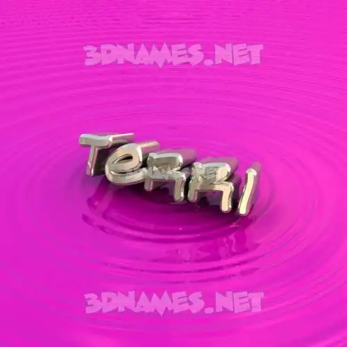 terri in Pink Graffiti style - 3D name wallpaper terri in Pink Graffiti style - 3D name wallpaper