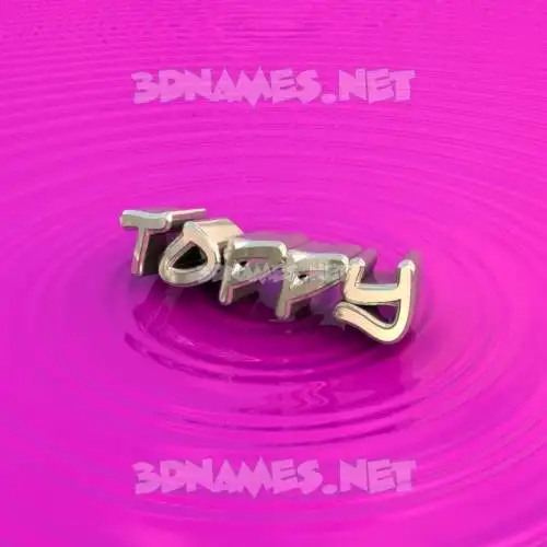 toppy in Pink Graffiti style - 3D name wallpaper toppy in Pink Graffiti style - 3D name wallpaper