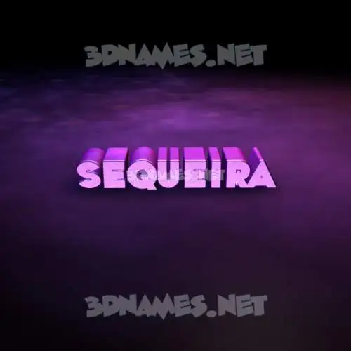 sequeira in Big Purple style - 3D name wallpaper sequeira in Big Purple style - 3D name wallpaper
