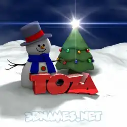 toza in Happy Xmas style - 3D name wallpaper