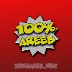 areeb in 100 Percent style - 3D name wallpaper