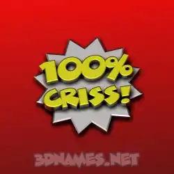 criss in 100 Percent style - 3D name wallpaper
