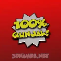 gunjal in 100 Percent style - 3D name wallpaper