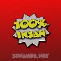 insan in 100 Percent style - 3D name wallpaper