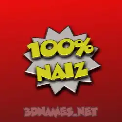 naiz in 100 Percent style - 3D name wallpaper