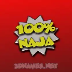 naja in 100 Percent style - 3D name wallpaper