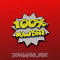 najeri in 100 Percent style - 3D name wallpaper
