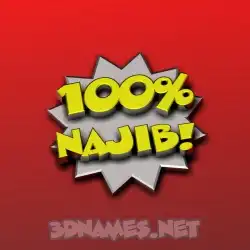 najib in 100 Percent style - 3D name wallpaper