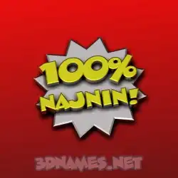 najnin in 100 Percent style - 3D name wallpaper