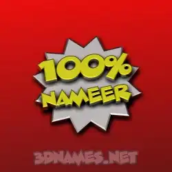 nameer in 100 Percent style - 3D name wallpaper